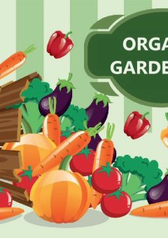 organic gardening tips