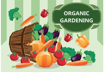 organic gardening tips